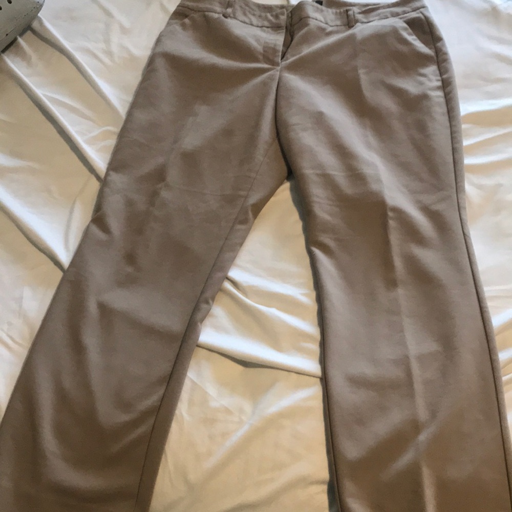 Apt 9 pants